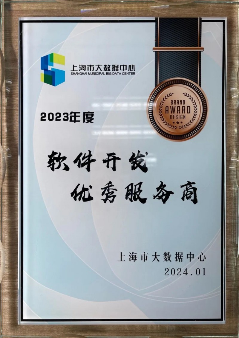 上海软件开发行业动态：构建智慧未来